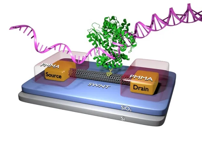 Choi research