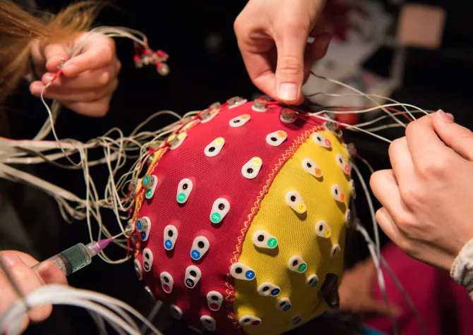 Hands working with Visual & Cognitive Neuroscience equipment