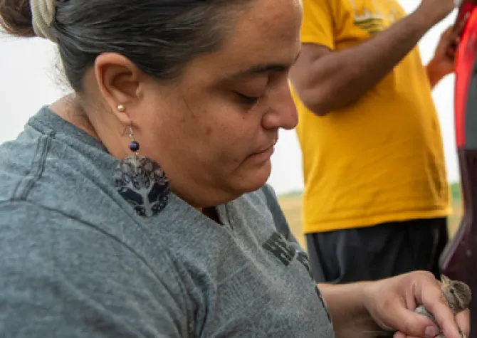 Woman working with a bird. 