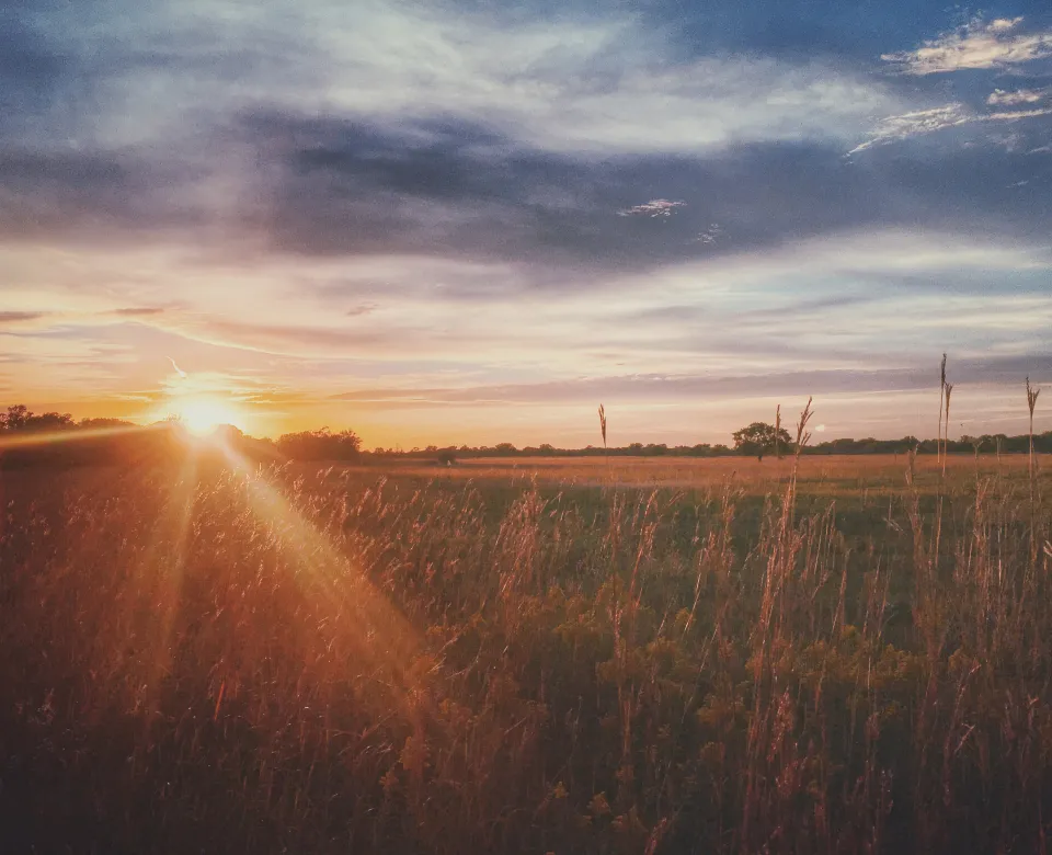 Sunset in the distance at Buffalo River State Park