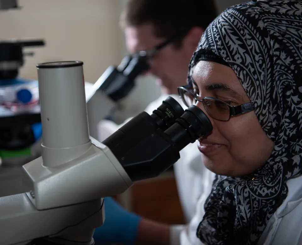 Student looking into a microscope
