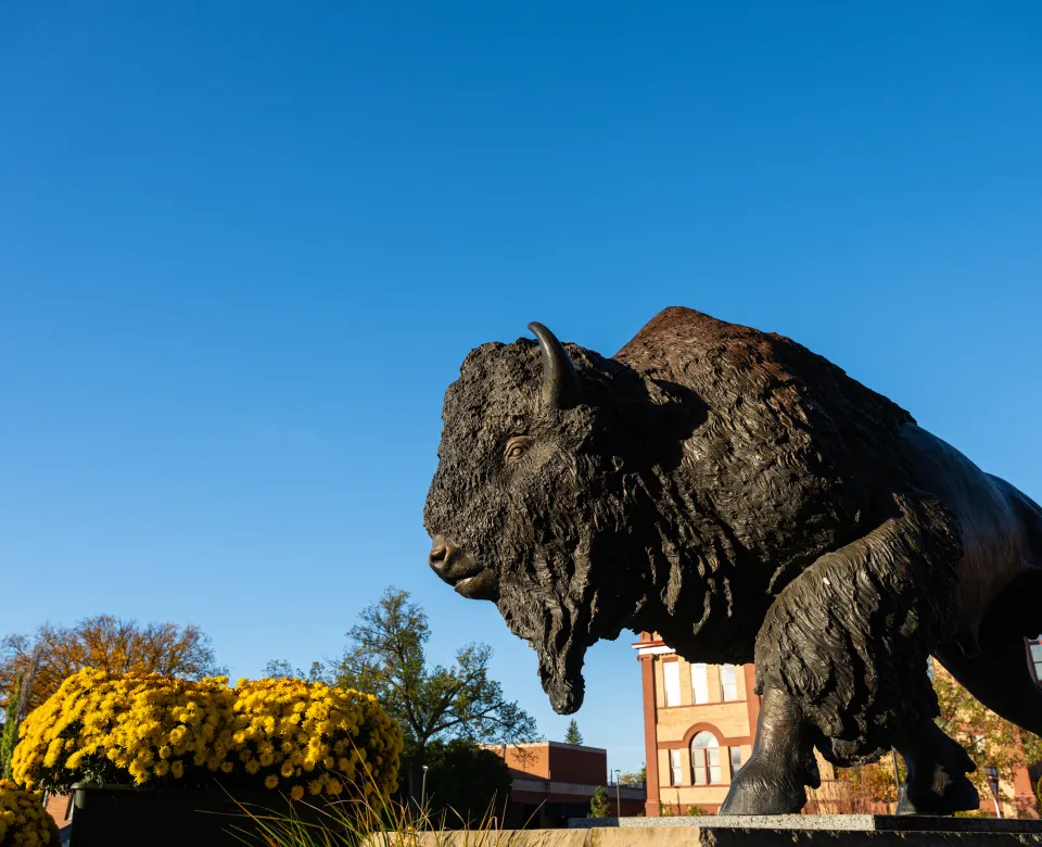 Bison Statue