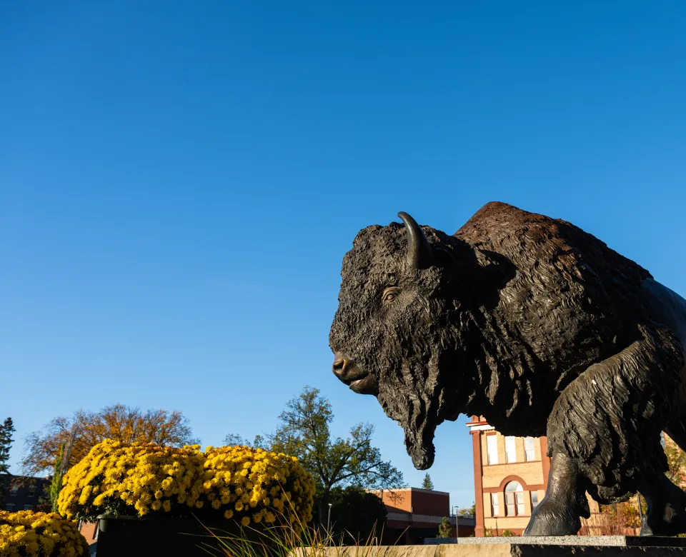 Bison Statue