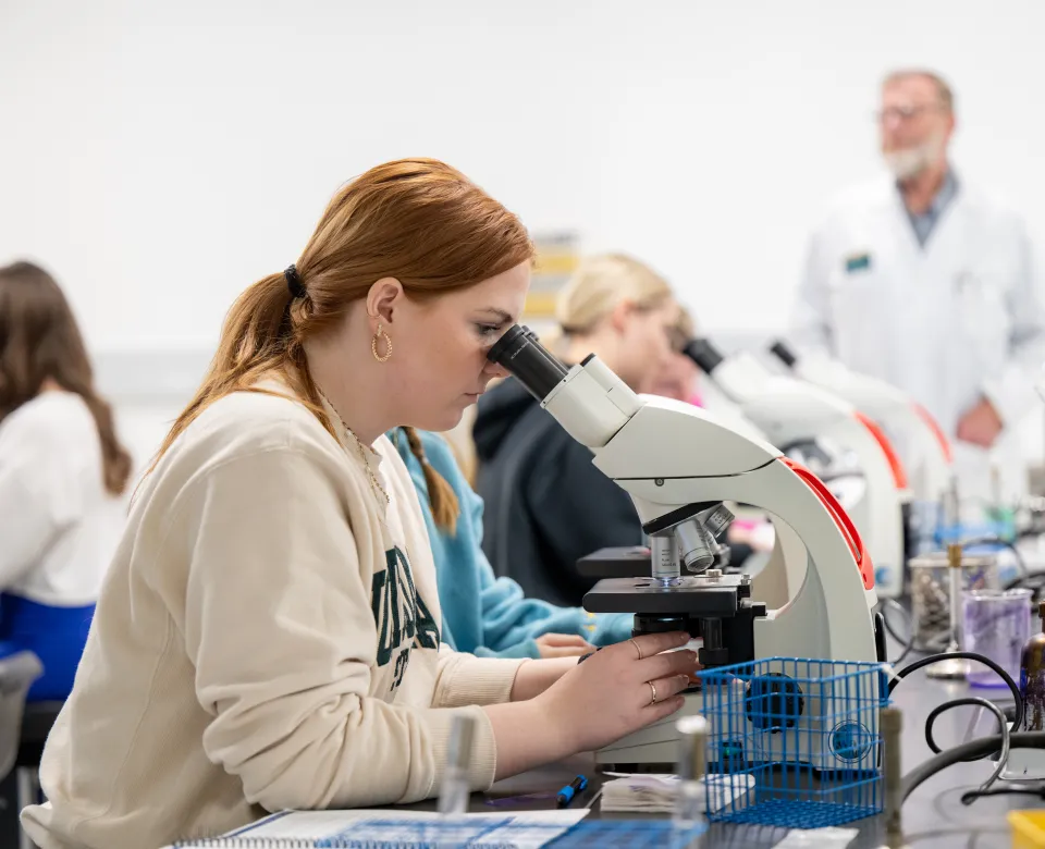 Student looking into a microscope while participating in a lab. 