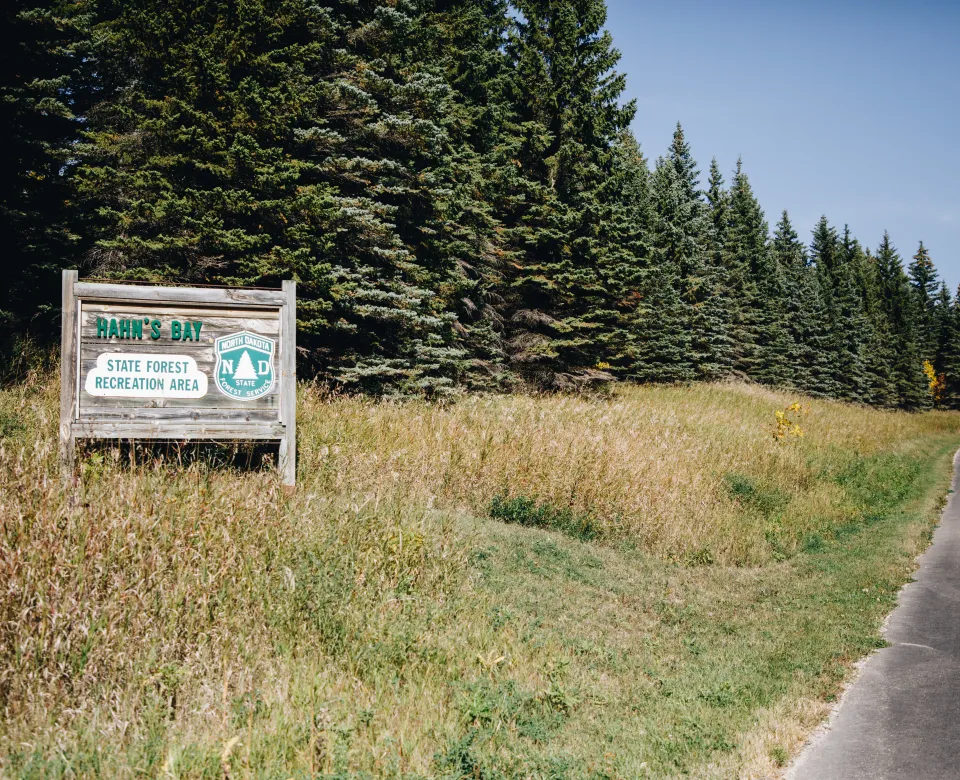 A sign that says "Hahn's Bay" next to a row of evergreen trees