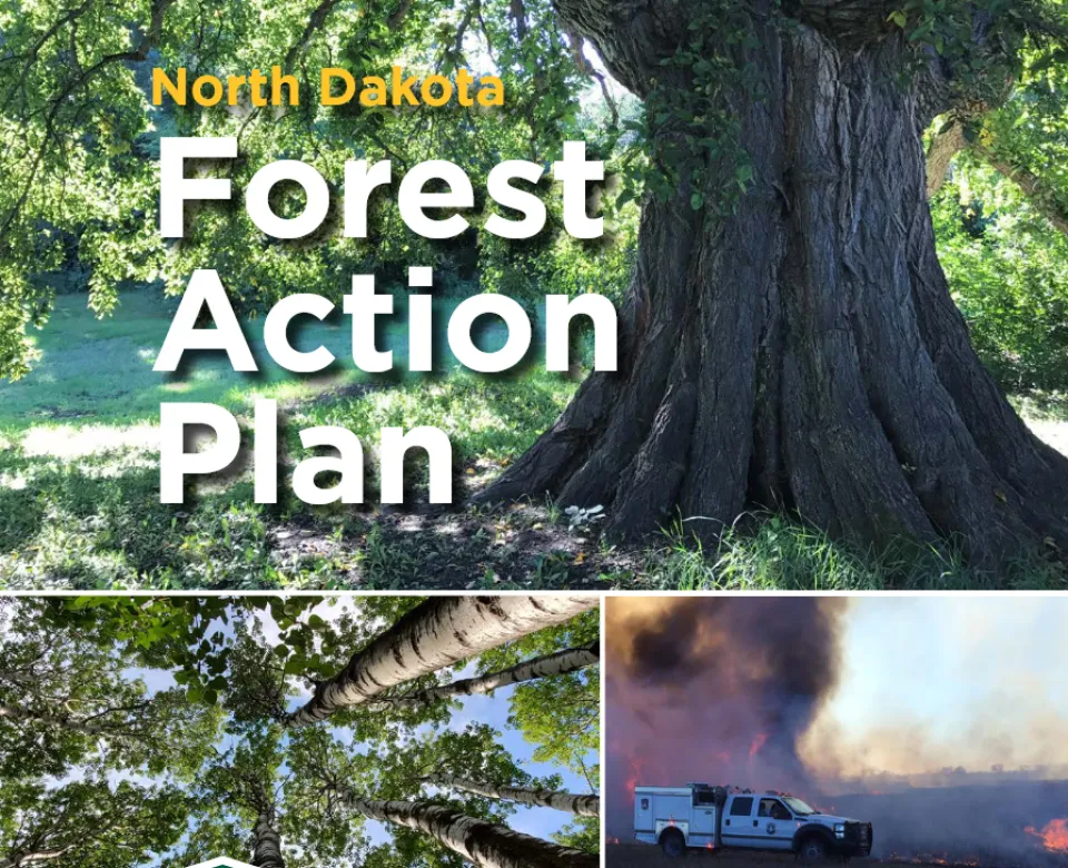 A document cover showing trees and a firetruck