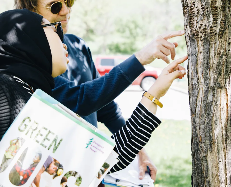 A woman with a head scarf and a man with sunglasses point to holes in the trunk of a tree