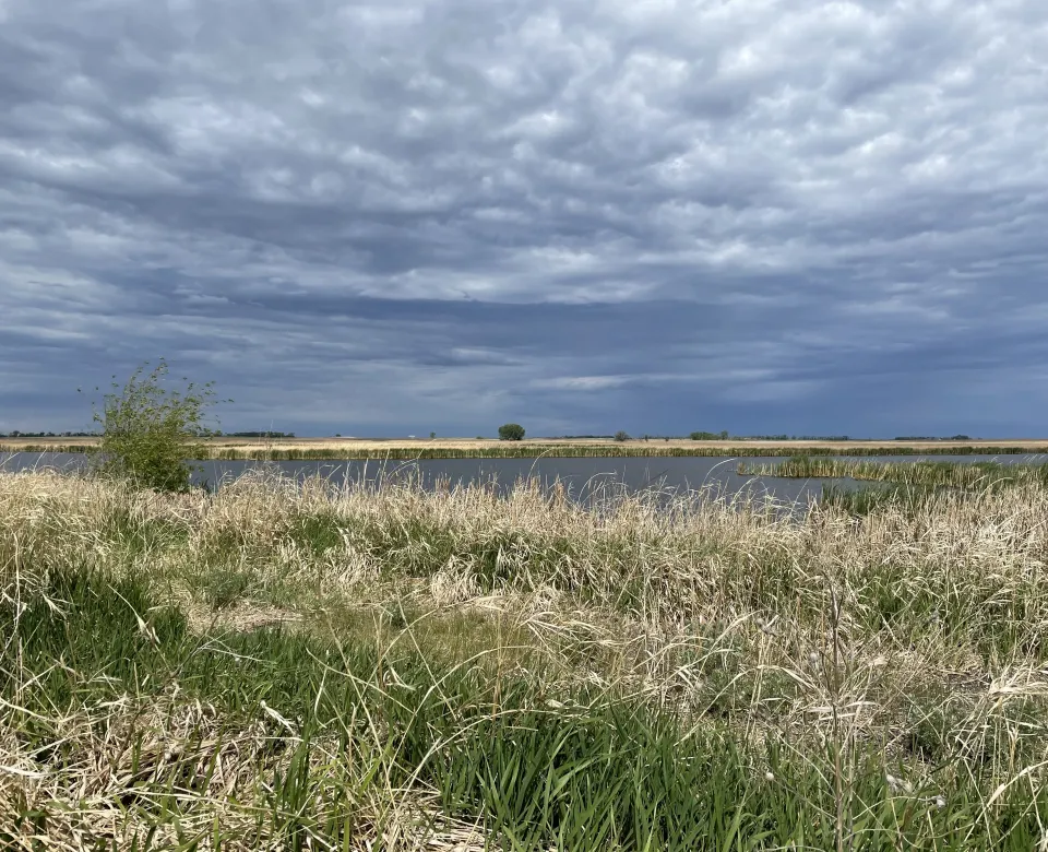 Landscape inlcuding grey sky with clouds and a grassy prairie.