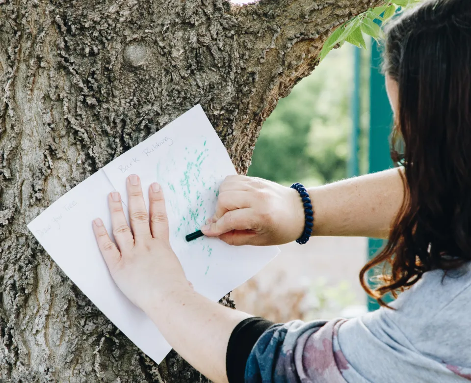 A woman rubs a crayon on a piece of paper on a tree to capture the bark texture