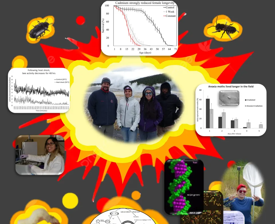 CSP lab description poster