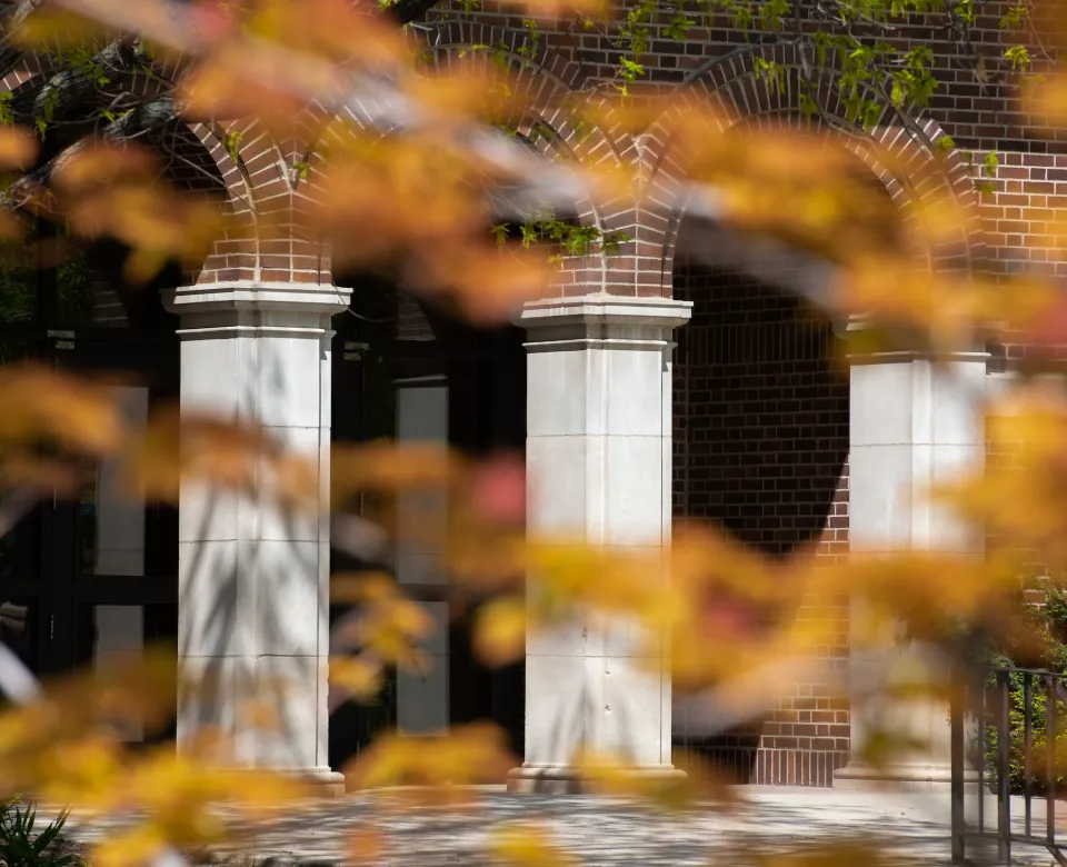 Campus in the Fall.