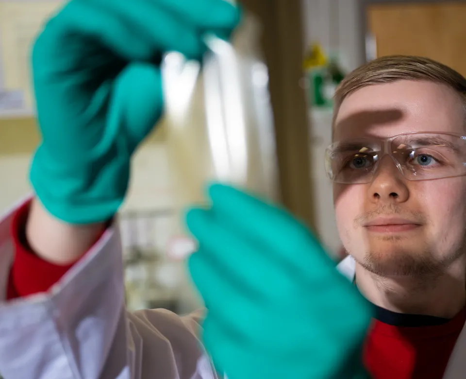 Research student weraing green gloves holding and examining something from the lab.