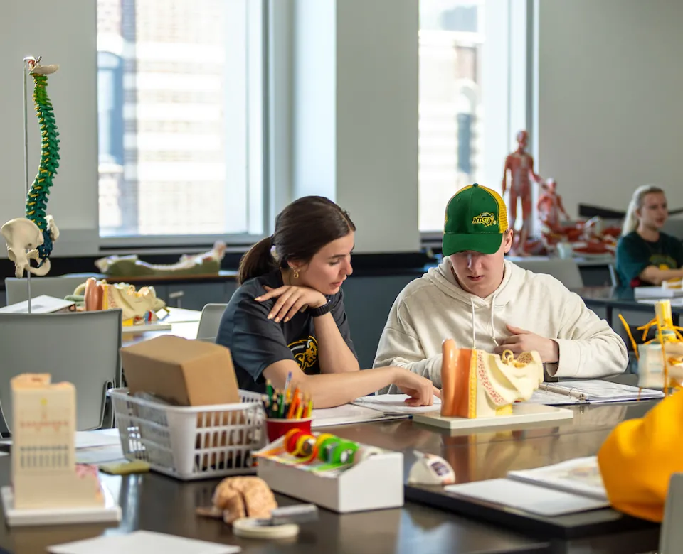 students working together during Biology class