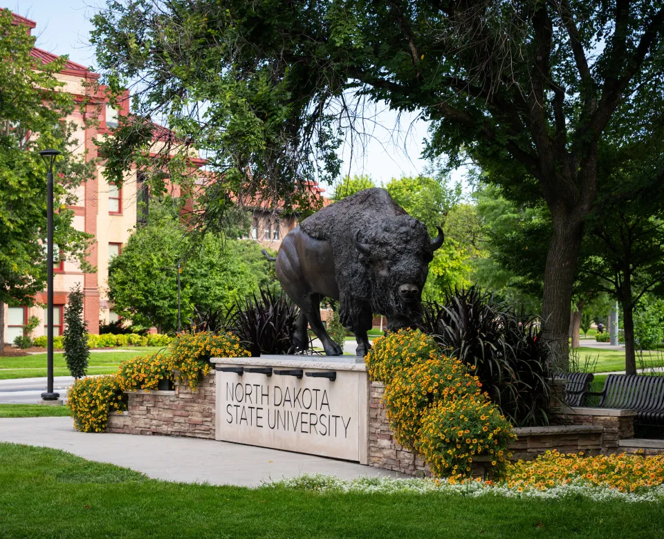 Bison Statue