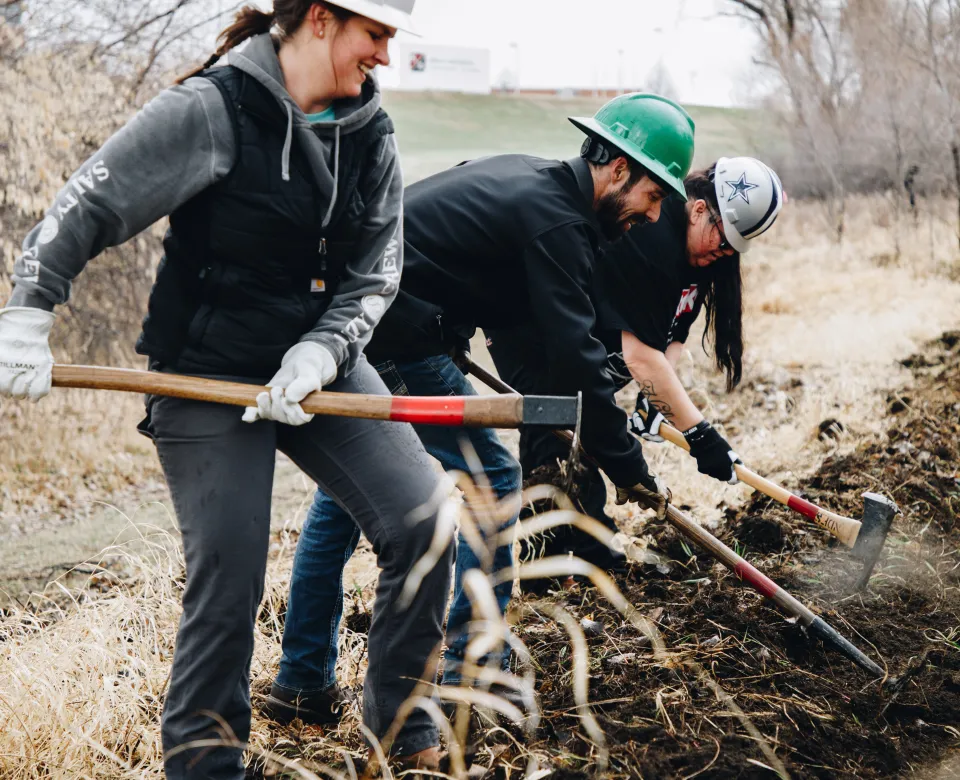 A group of firefighters dig a fire break in grass