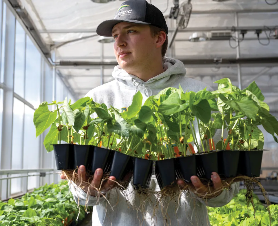 Student with plant trays in greenhouse