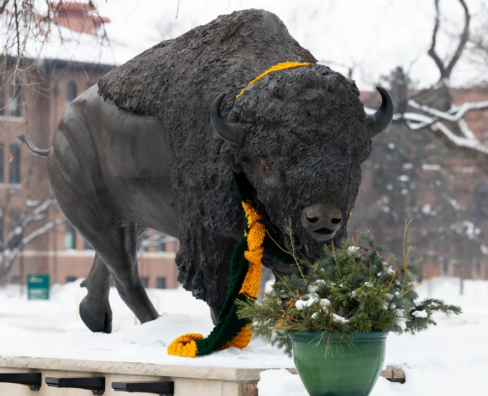 Bronze Bison Statue