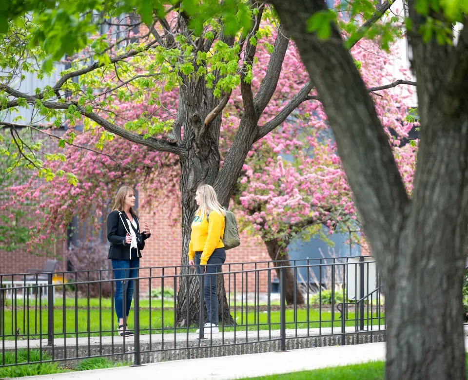 Students talking outside on campus.
