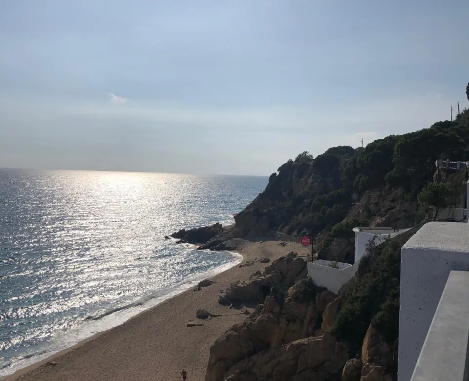 Scenic shot of beach in Catalina