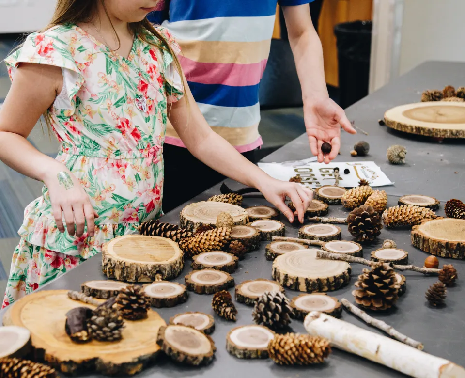A young girl and boy investigate different tree parts