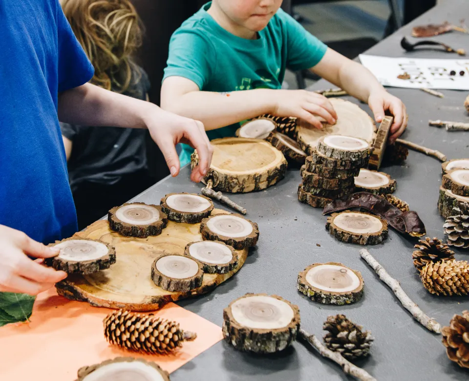 Two students use loose tree parts to play and learn.