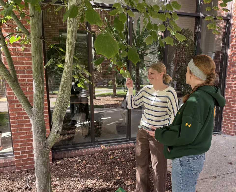 Two students interacting with tree on NDSU Campus