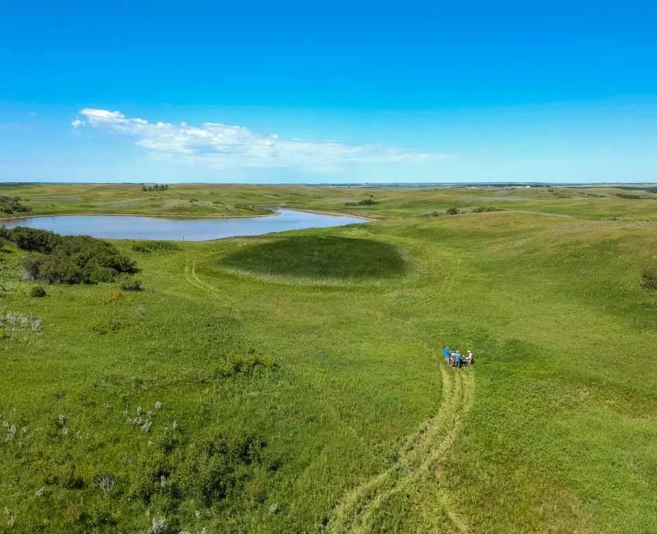 Researchers in a green field.