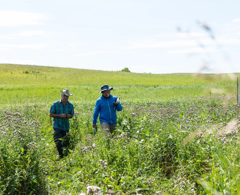Dr. Otte walking with research student in a green grassy field. 