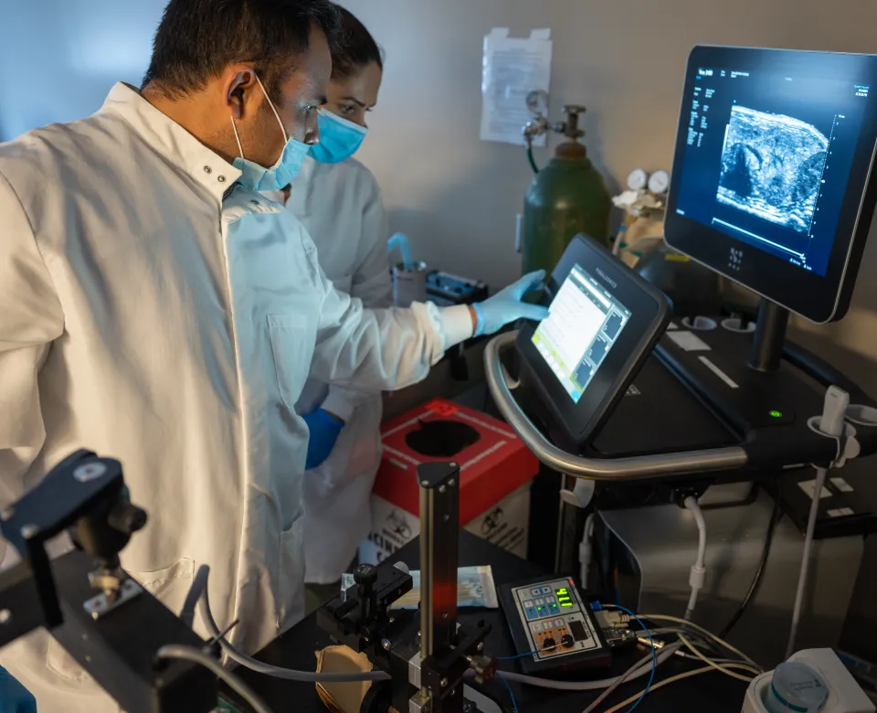 Biological Sciences researchers working in a Mouse Research Lab.