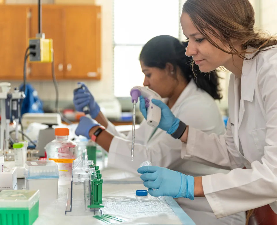 Students performing an experiment in lab