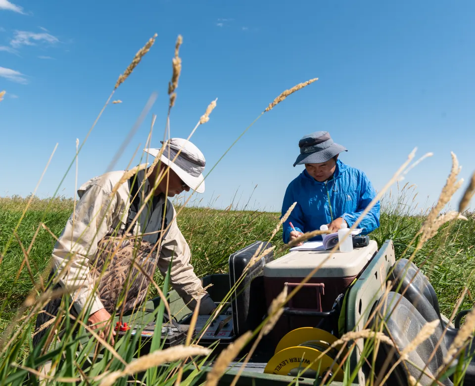 Researchers working with research equipment in grassy field.