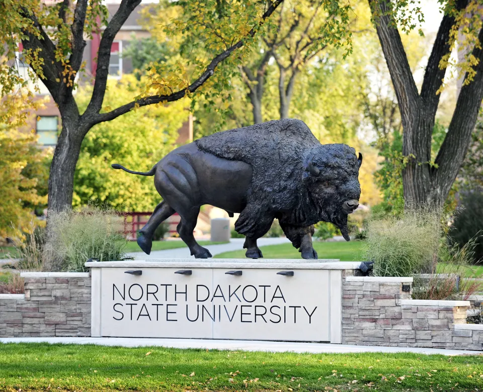 Bison statue locateed on the NDSU campus