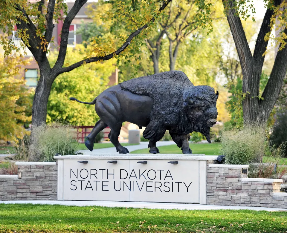 Bison statue locateed on the NDSU campus