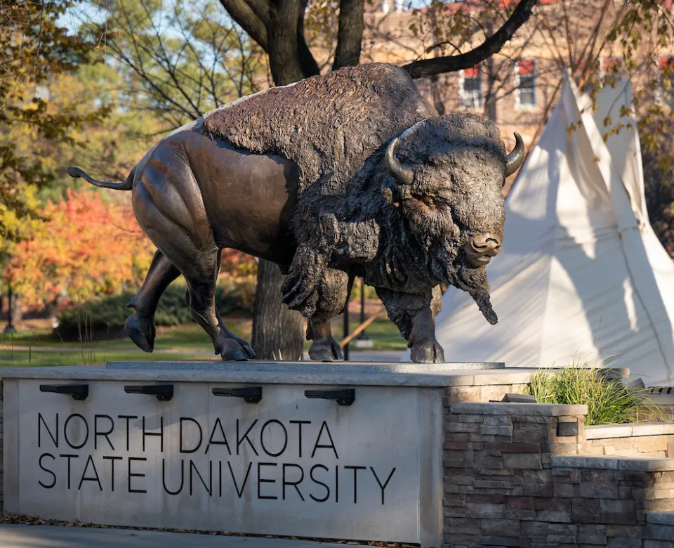 Bison statue locateed on the NDSU campus with teepee in the background