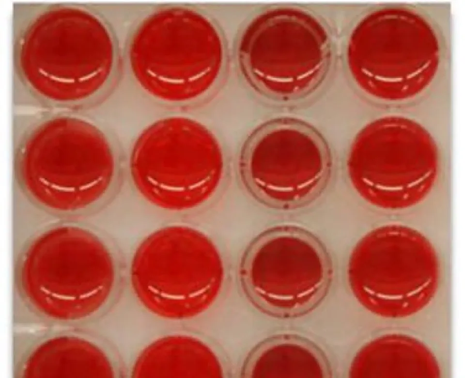 Red blood cell assay