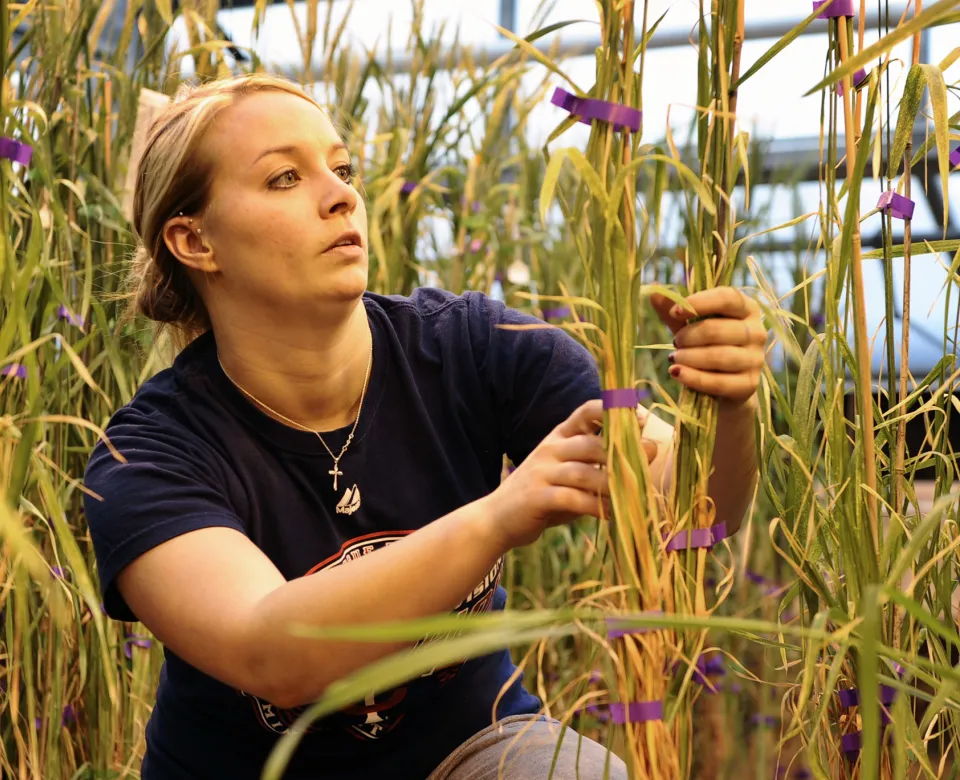 Agriculture Research