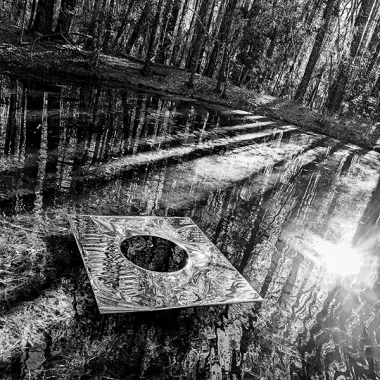 A black and white photograph of tree shadows on the water and a reflective surface floating in the foreground. This image links to the artists website.