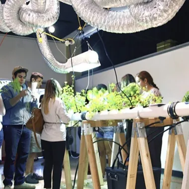 People stand around a hydroponic plant station. This image links to the artists website.