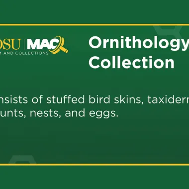 NDSU has an Ornithology Collection 