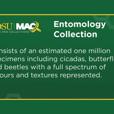 NDSU has an Entomology Collection 