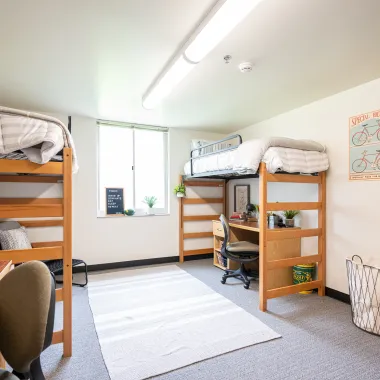pavek hall showroom of lofted bed