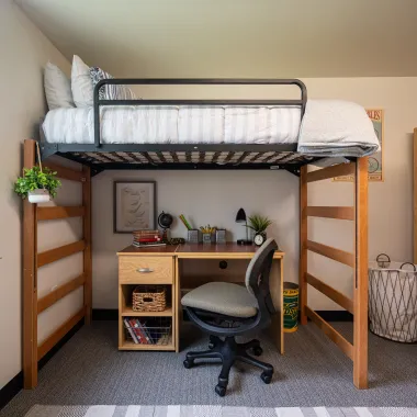 pavek hall lofted bed