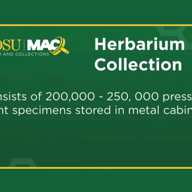 NDSU has a Herbarium Collection 