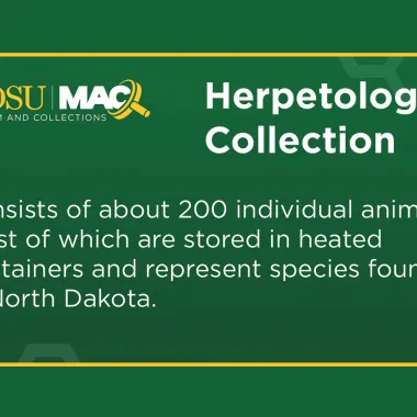 NDSU has a Herpetology Collection 