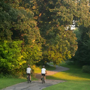 People riding bikes in a park