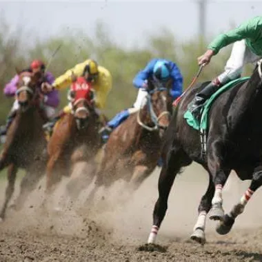 horses race around the track at the North Dakota Horse Park