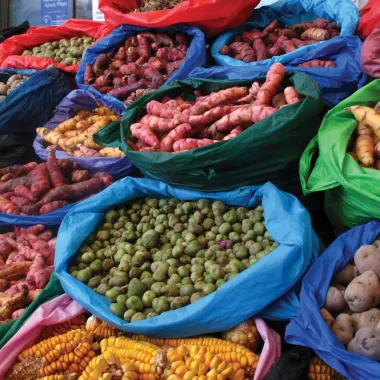 Various international foods in bags at market.