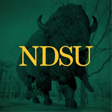 NDSU profile picture with bison statue background
