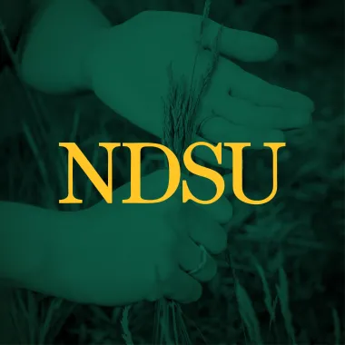 NDSU profile picture with wheat background