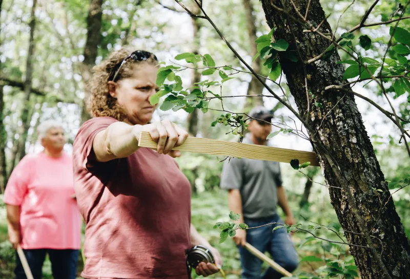 A woman measures the side of a tree using a biltmore stick